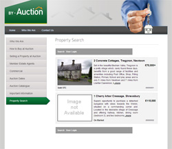 By-Auction