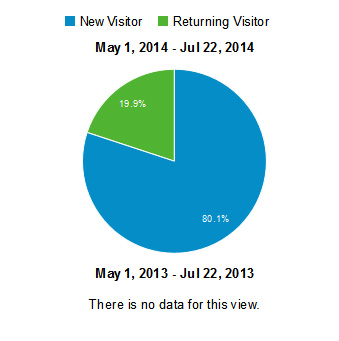 Screenshot of Google Analytics Visitor Pie Chart